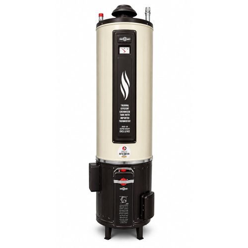 NASGAS ELECTRIC & GAS 35 GALLON GEYSER Model DEG-35 SUPER HEAVY