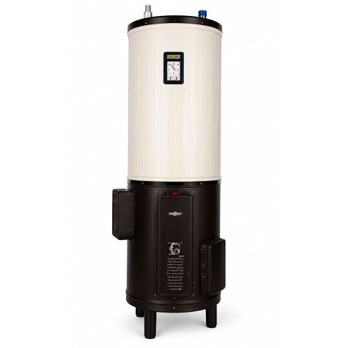 NASGAS ELECTRIC & GAS GEYSER 25 GALLON Model DEG-25GL SUPER HEAVY